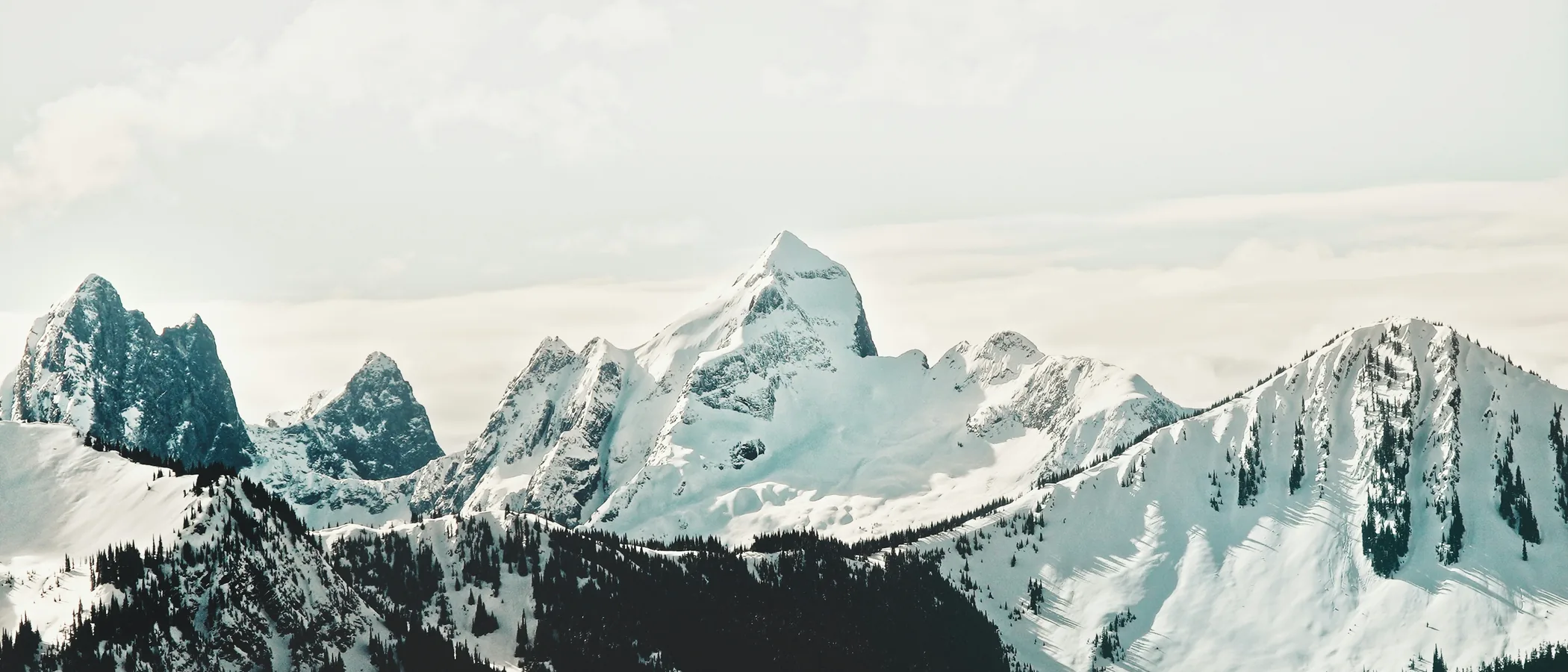 Verschneite Gipfelkette über dunklem Bergwald